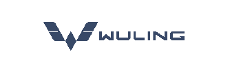 Wuling Motors Brunei